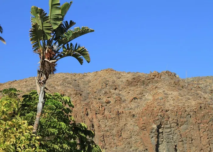 La Vida Buena Daire *