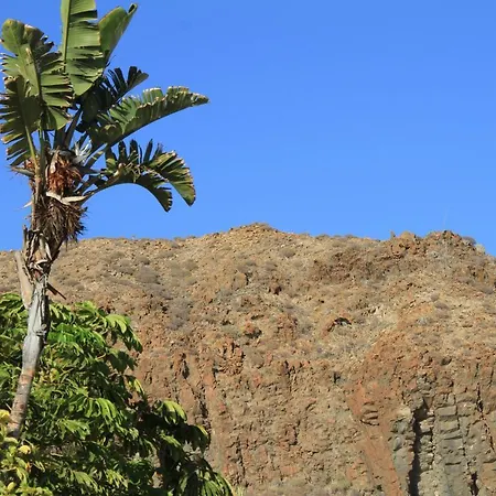 La Vida Buena Apartament *